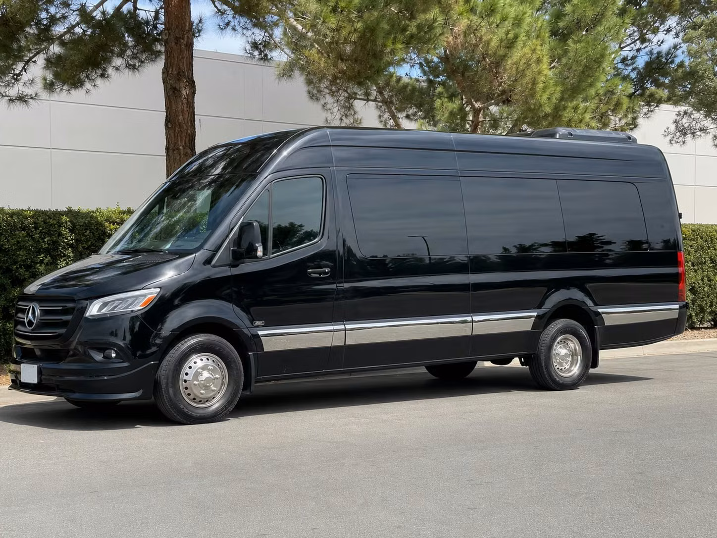 sprinter van with driver